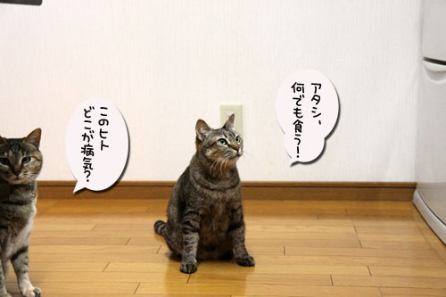 ‘ぼうず’では帰れない_d0355333_19050146.jpg