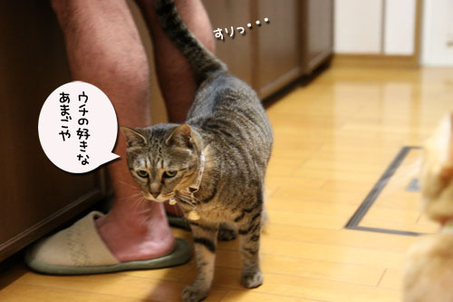 ‘ぼうず’では帰れない_d0355333_19050163.jpg