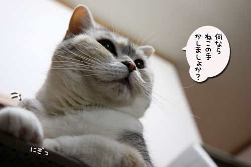 ‘ぼうず’では帰れない_d0355333_19050229.jpg