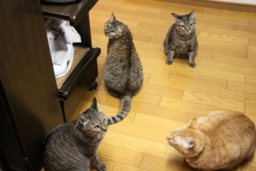 ‘ぼうず’では帰れない_d0355333_19050256.jpg