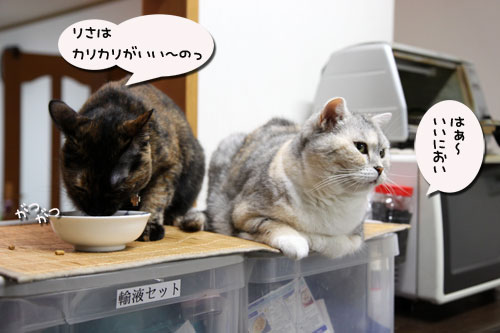 ‘ぼうず’では帰れない_d0355333_19050258.jpg