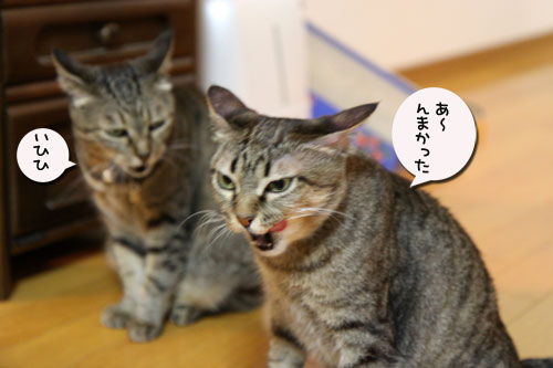 ‘ぼうず’では帰れない_d0355333_19050369.jpg