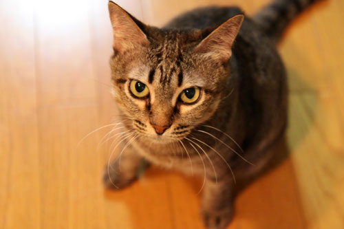 ‘ぼうず’では帰れない_d0355333_19050375.jpg