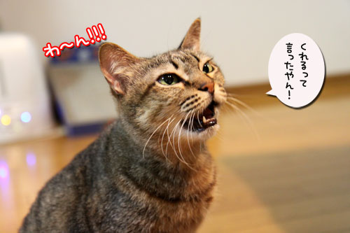 ‘ぼうず’では帰れない_d0355333_19050397.jpg