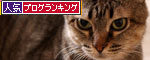 梅雨本番前の暑さに_d0355333_19052064.jpg