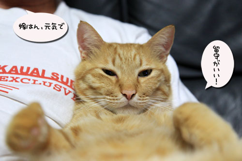 嫁はん元気で・・・?_d0355333_19052598.jpg
