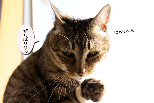 いよいよスタート_d0355333_19052773.jpg