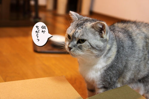 猫の鼻はあなどれない_d0355333_19054020.jpg