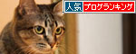 猫の鼻はあなどれない_d0355333_19054400.jpg