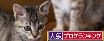 ちびっ子がやってきた!_d0355333_19055348.jpg