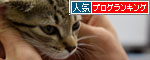 こねこに死角はないのだ_d0355333_19061025.jpg