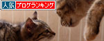 こねことファーストコンタクト_d0355333_19061898.jpg