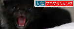 ちっちゃくても・・・!_d0355333_19063024.jpg