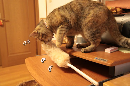 大きな猫じゃらしで_d0355333_19063132.jpg