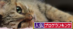 大きな猫じゃらしで_d0355333_19063262.jpg