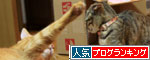 箱も有効利用。_d0355333_19071993.jpg