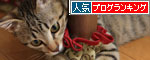 モップと闘う猫_d0355333_19072378.jpg