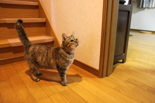 ゆいちゃんの大冒険_d0355333_19073411.jpg