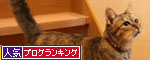 ゆいちゃんの大冒険_d0355333_19073558.jpg