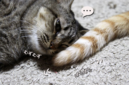 病院に行かなくていい週末_d0355333_19080252.jpg