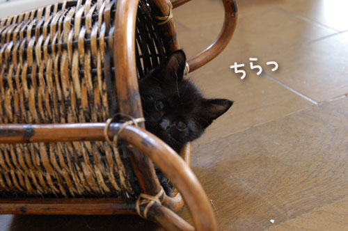 病院に行かなくていい週末_d0355333_19080291.jpg
