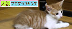 おこめちゃんたちの帰宅_d0355333_19080547.jpg