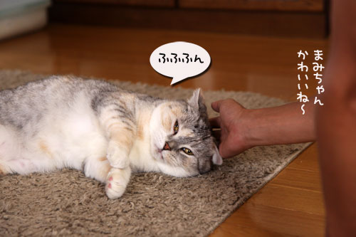 おこめちゃんたちのお見合い_d0355333_19080767.jpg