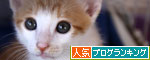 おこめちゃんたちのお見合い_d0355333_19080807.jpg