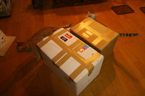 どっさりプレゼント_d0355333_19082132.jpg