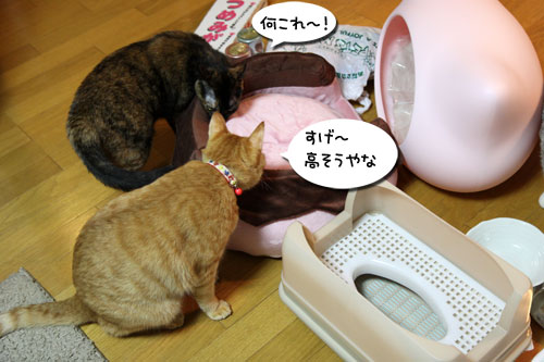どっさりプレゼント_d0355333_19082237.jpg