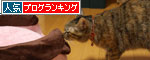 どっさりプレゼント_d0355333_19082311.jpg