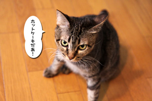 ホットケーキを焼いた朝_d0355333_19082531.jpg