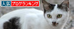 まさかの新人登場_d0355333_19083098.jpg