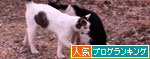 決戦は土曜日。_d0355333_19083808.jpg