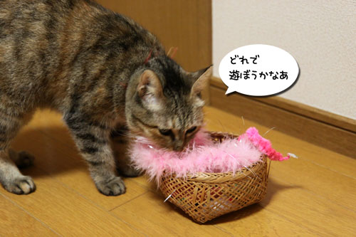 うれしい変化_d0355333_19084430.jpg