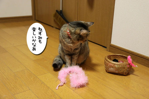 うれしい変化_d0355333_19084461.jpg