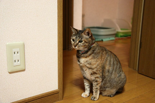うれしい変化_d0355333_19084500.jpg