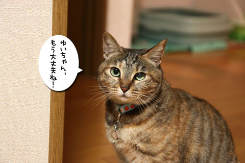 うれしい変化_d0355333_19084529.jpg