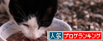 もう少しだけ待っててね。_d0355333_19084669.jpg