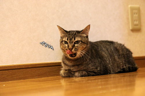 一緒に闘おう。_d0355333_19084700.jpg