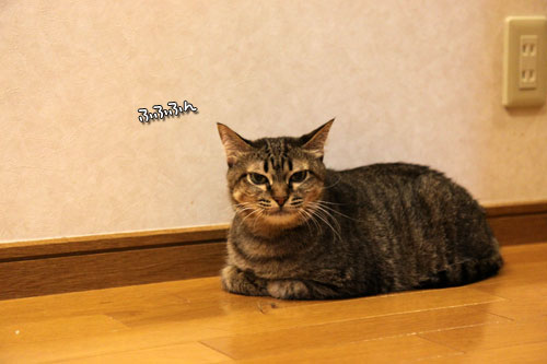 一緒に闘おう。_d0355333_19084726.jpg