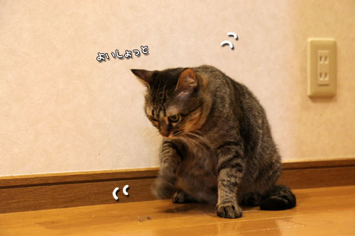 一緒に闘おう。_d0355333_19084735.jpg