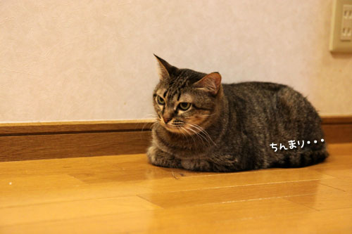 一緒に闘おう。_d0355333_19084789.jpg