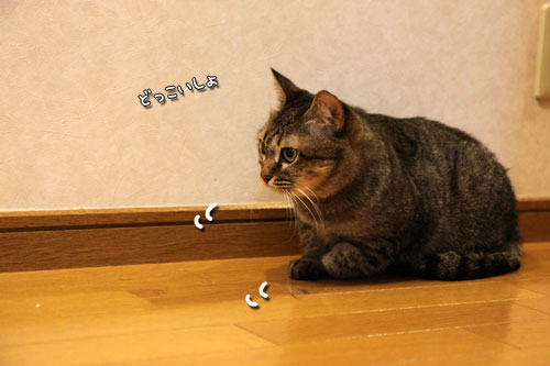 一緒に闘おう。_d0355333_19084792.jpg