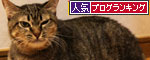 一緒に闘おう。_d0355333_19084816.jpg