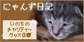 ここから50%に。_d0355333_19091370.jpg
