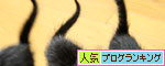 秋のちびっこ_d0355333_19091409.jpg