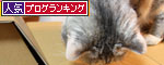 キャットベースを使ってみた!_d0355333_19091978.jpg