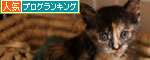 猫をかぶる、仔猫。_d0355333_19092015.jpg