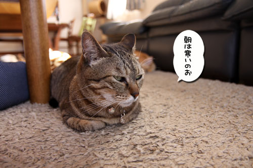 電源ON!_d0355333_19093516.jpg